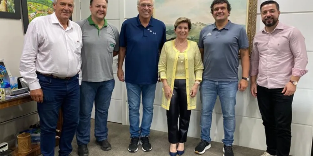 Atualmente, Ponta Grossa conta com forte projeto nas categorias de base e se credenciou para disputar a Liga de Basquete Feminino