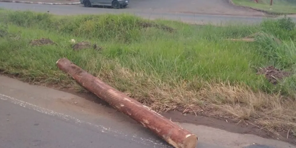 Tora de madeira teria se desprendido de caminhão e atingido motociclista