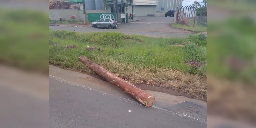 Tora de madeira teria se desprendido de caminhão e atingido motociclista