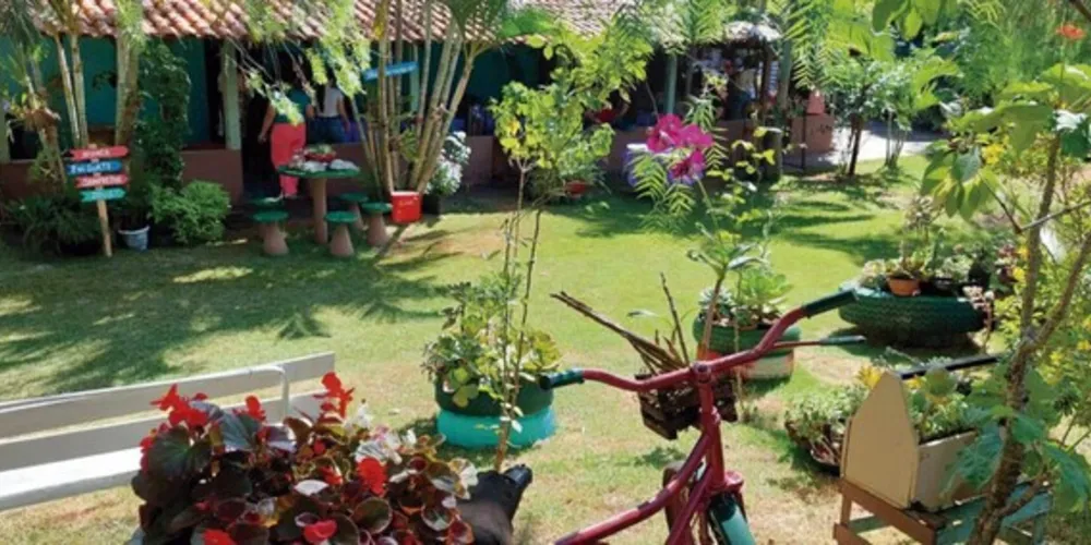 Durante o período de isolamento social, ela passou a cultivar suculentas e criou novos espaços na propriedade para receber visitantes