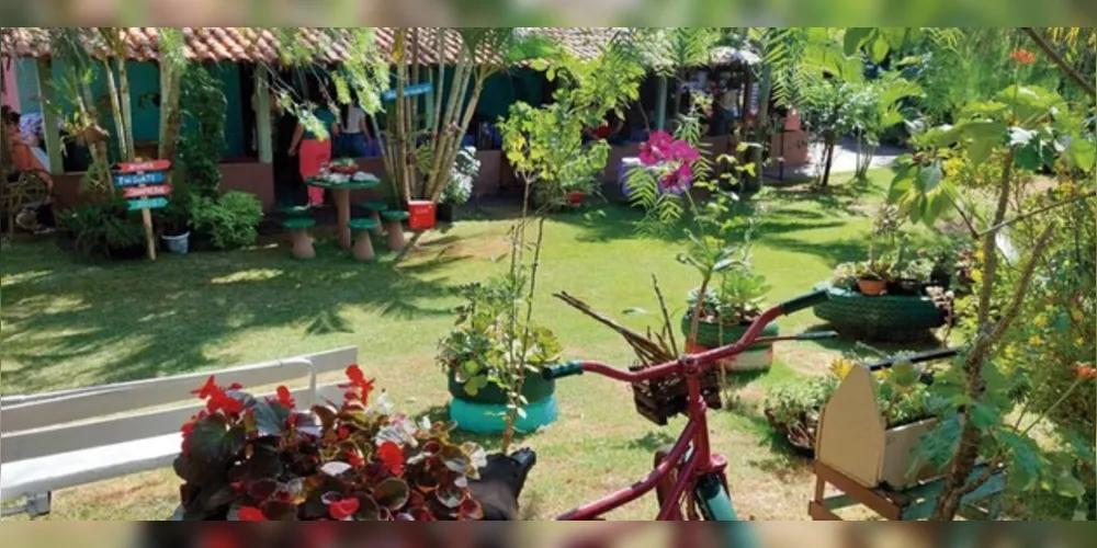 Durante o período de isolamento social, ela passou a cultivar suculentas e criou novos espaços na propriedade para receber visitantes