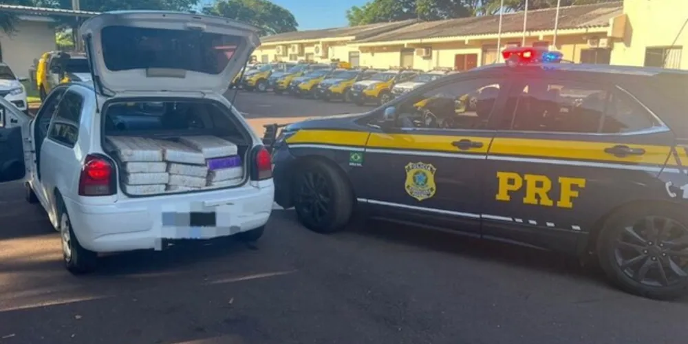 Mais de meia tonelada de drogas foram apreendidas