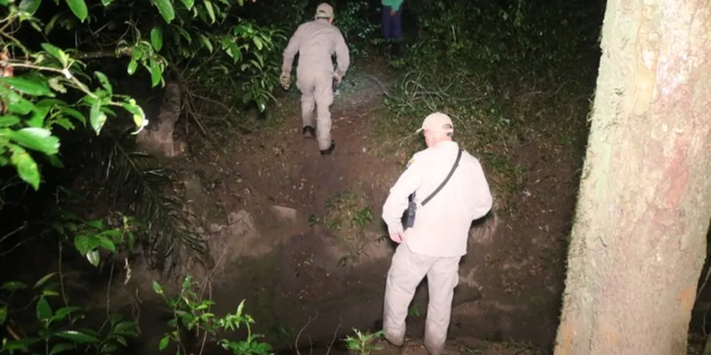 Equipes adentraram em área de mata indicada pelos pescadores