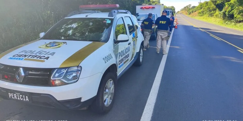 Equipes da PRF e Polícia Científica foram até o local*