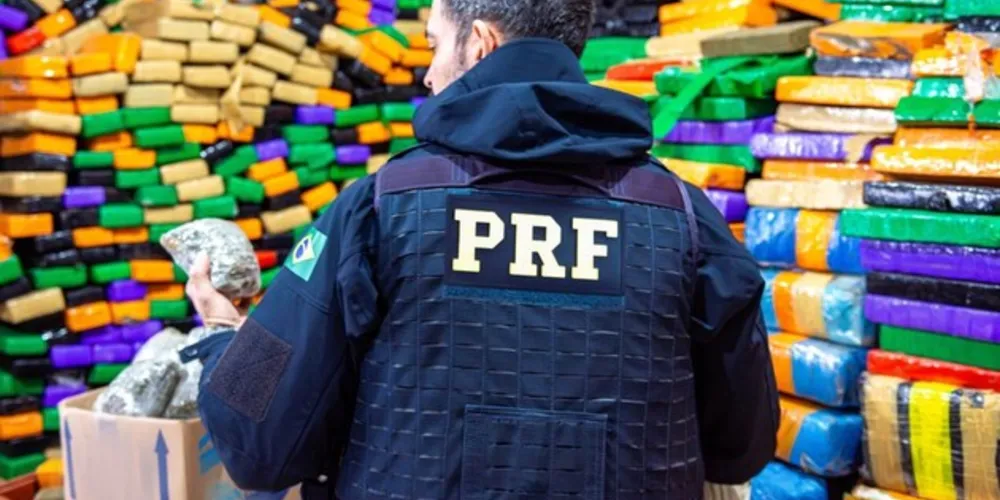 Maconha foi a droga mais apreendida em 2023 no Paraná