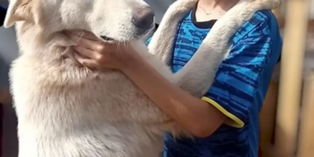 Lua pertence ao menino de 10 anos