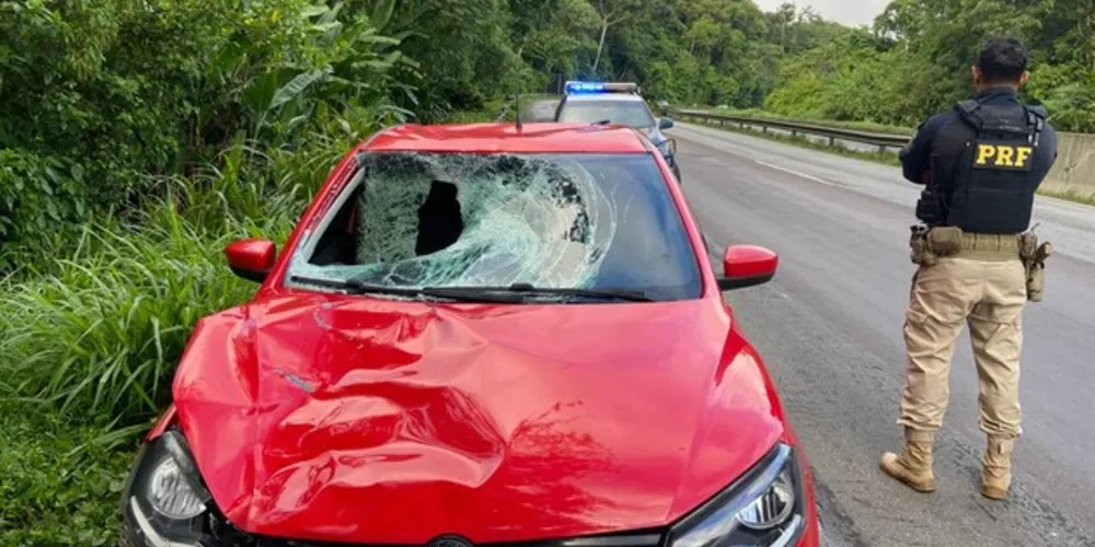 O veículo apresentava danos no capô.