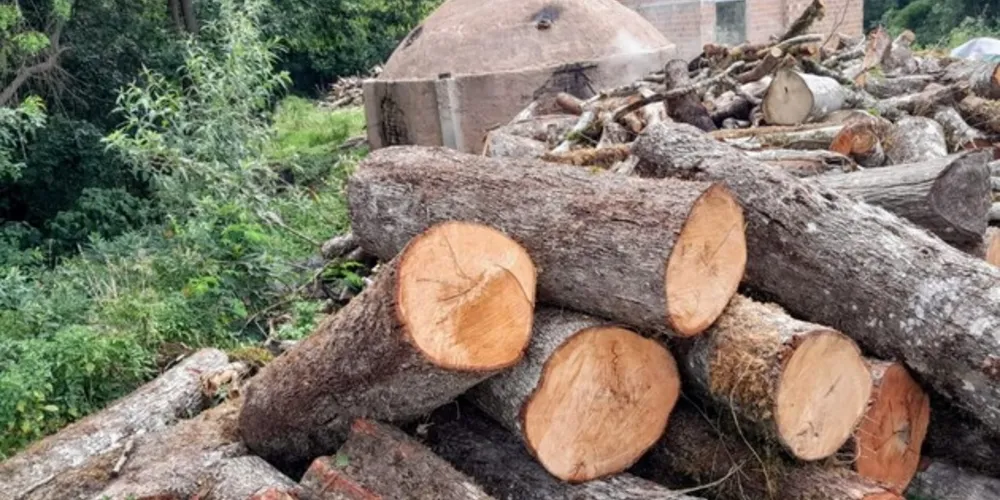 O homem responderá criminalmente pelas suas ações