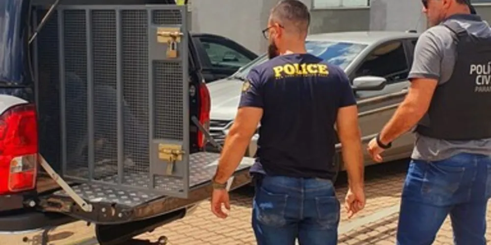 Um veículo Fiat Siena, de cor cinza, estava sendo utilizado nos crimes.