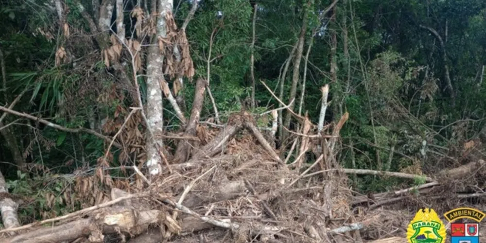 Ele foi multado em R$ 15,5 mil