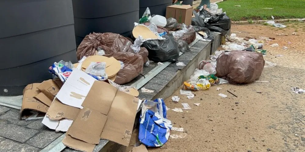 O lixo está sendo depositado de forma errada, ao redor, causando o problema.