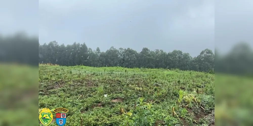 Espécies ameaçadas de extinção foram devastadas pelo proprietário