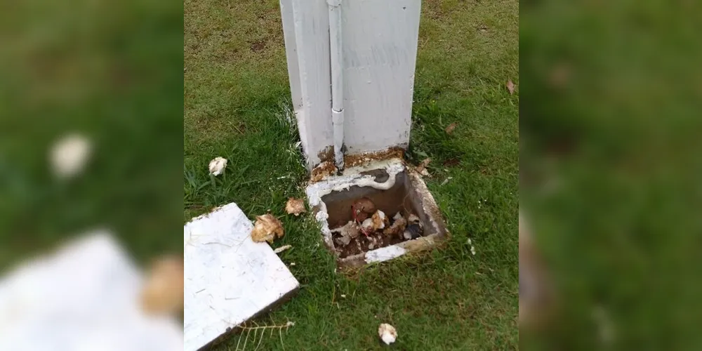 Furto ocorreu na madrugada de sexta-feira (16).