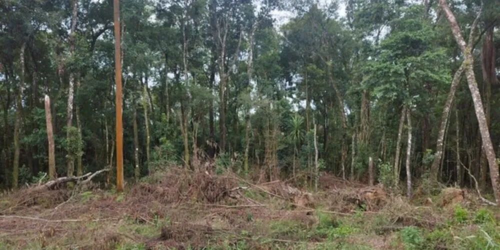 A situação ocorreu na localidade de Linha Barra Grande