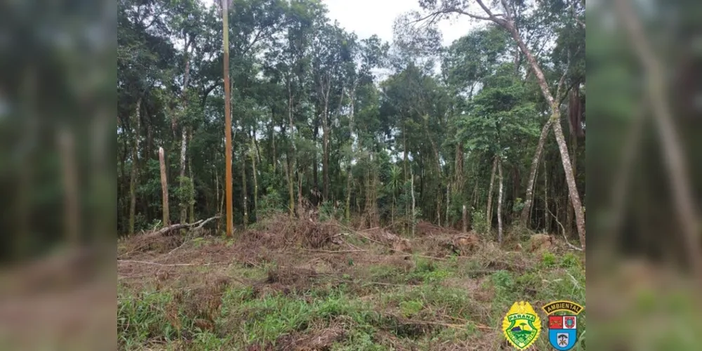 A situação ocorreu na localidade de Linha Barra Grande