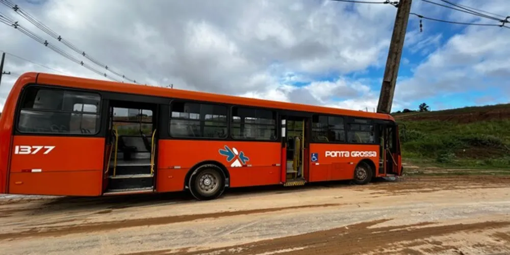 Em acidente, é possível perceber grande quantidade de terra na pista (foto)