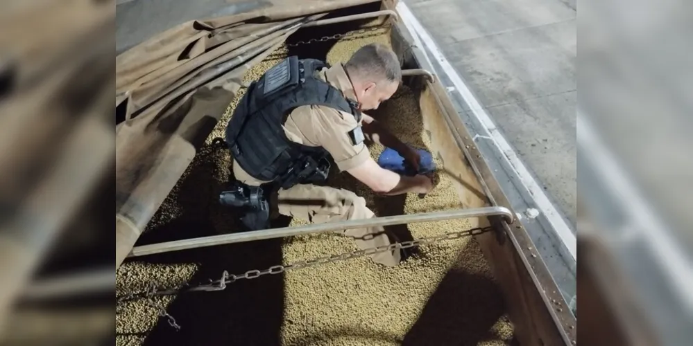 Prejuízo estimado pela Polícia ao tráfico chega a casa dos R$ 6 mi