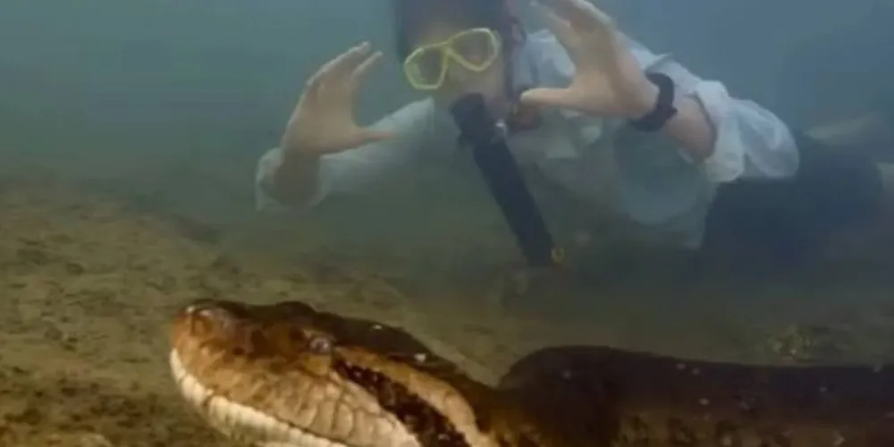 Animal foi encontrado na Amazônia