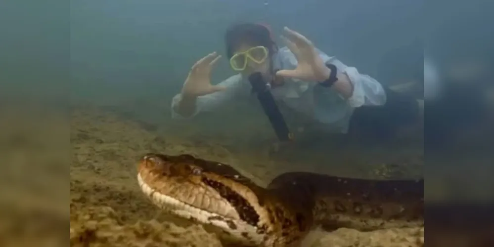 Animal foi encontrado na Amazônia