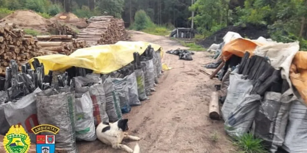 Os materiais apreendidos pelos oficiais, foram doados para a Associação de Pais e Amigos dos Excepcionais (APAE)