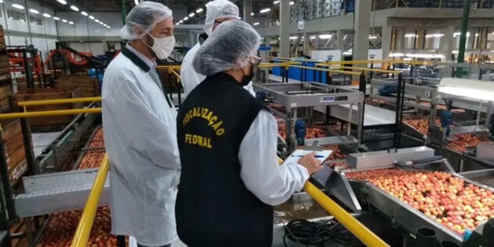 A mobilização denominada “Operação Reestruturação” foi intensificada em todo o país, gerando impactos na fiscalização de cargas em portos, aeroportos e regiões de fronteira do estado.