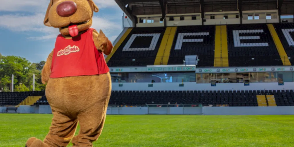 A notícia reafirma o compromisso da Lojas MM com o esporte