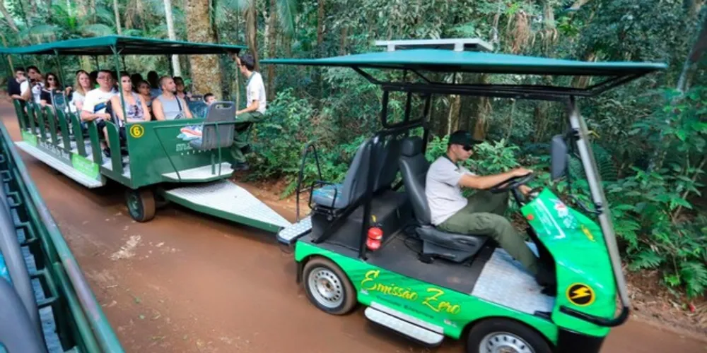 Setor registrou 7,4 mil novos trabalhadores empregados até o mês de outubro