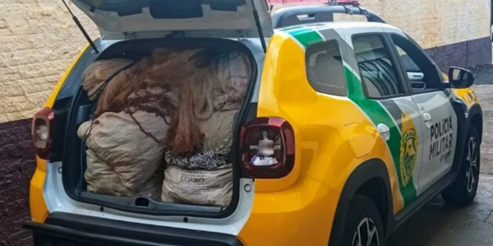 As espingardas foram encaminhadas para Delegacia de Polícia de Cândido de Abreu e o material de pesca predatória será encaminhado para posterior destruição