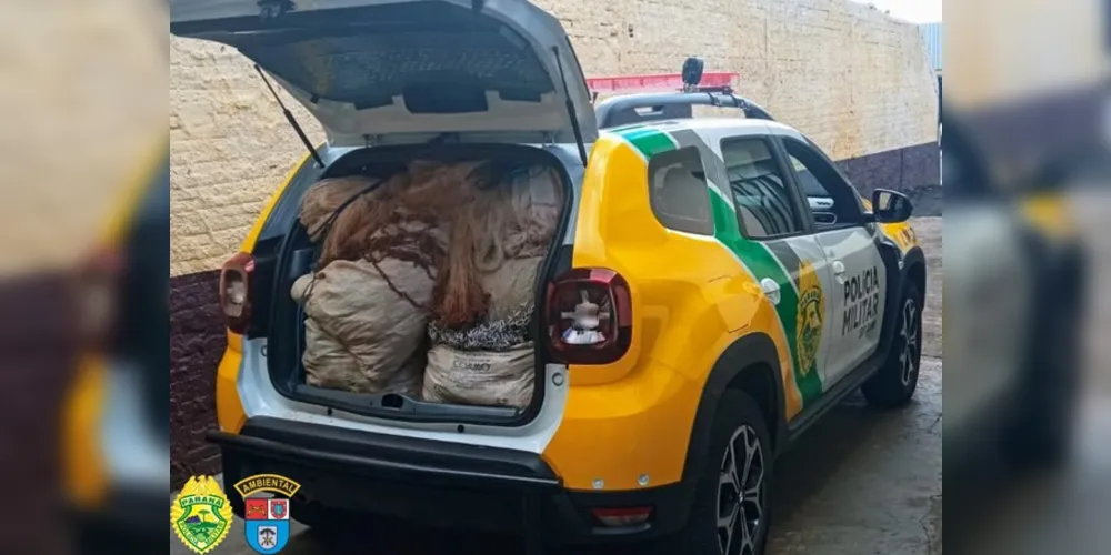 As espingardas foram encaminhadas para Delegacia de Polícia de Cândido de Abreu e o material de pesca predatória será encaminhado para posterior destruição