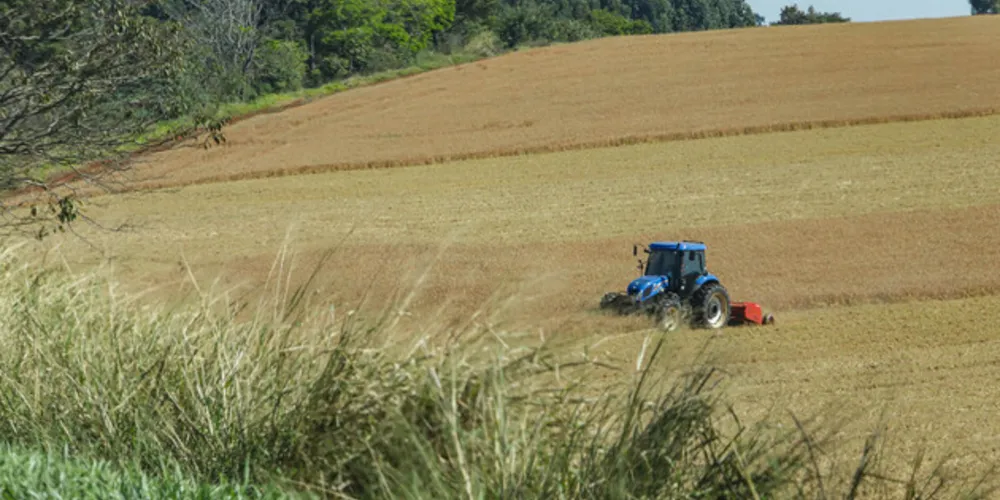 A atual safra sentiu problemas com as chuvas fortes de outubro e novembro de 2023