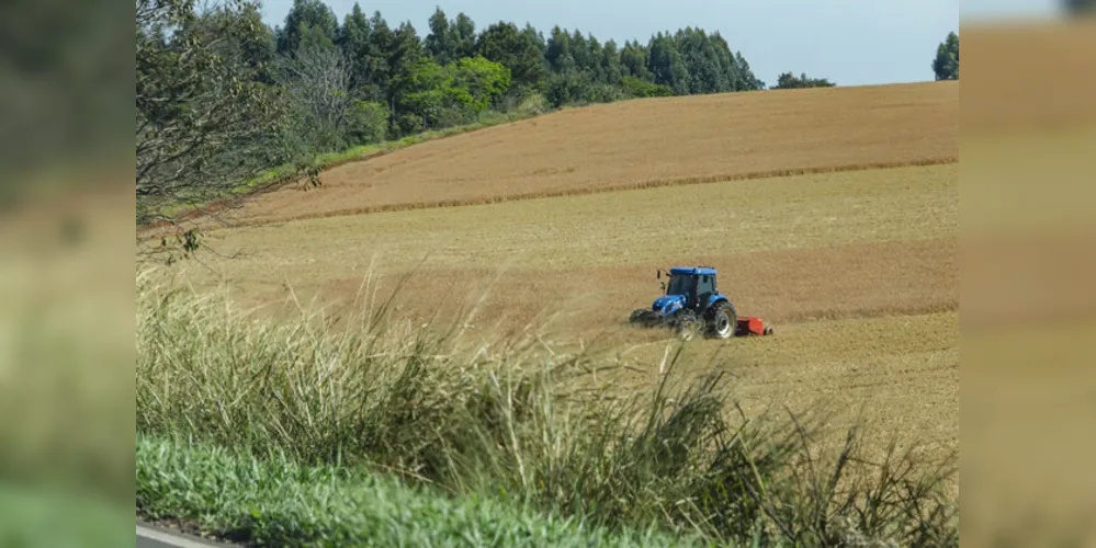 A atual safra sentiu problemas com as chuvas fortes de outubro e novembro de 2023