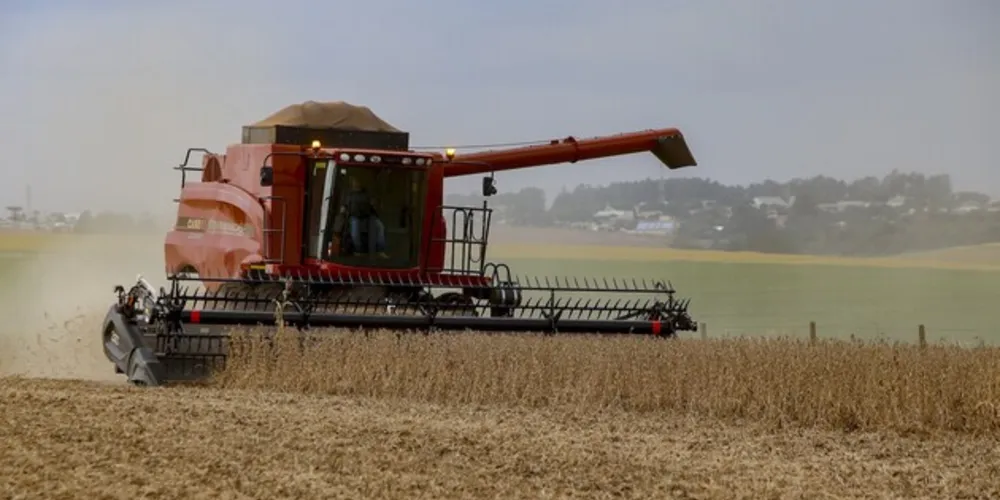 Colheira do feijão se mostra problemática em algumas regiões.