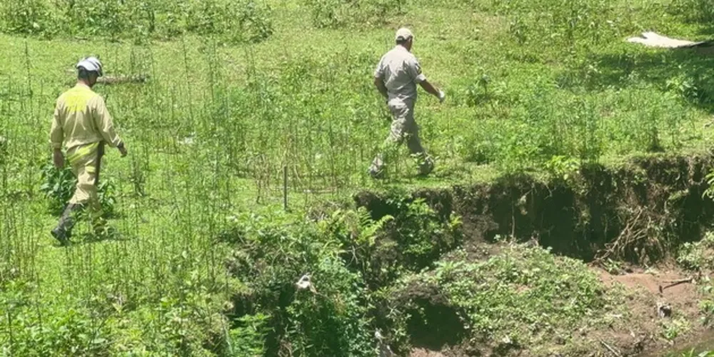 Buscas foram encerradas na manhã de terça