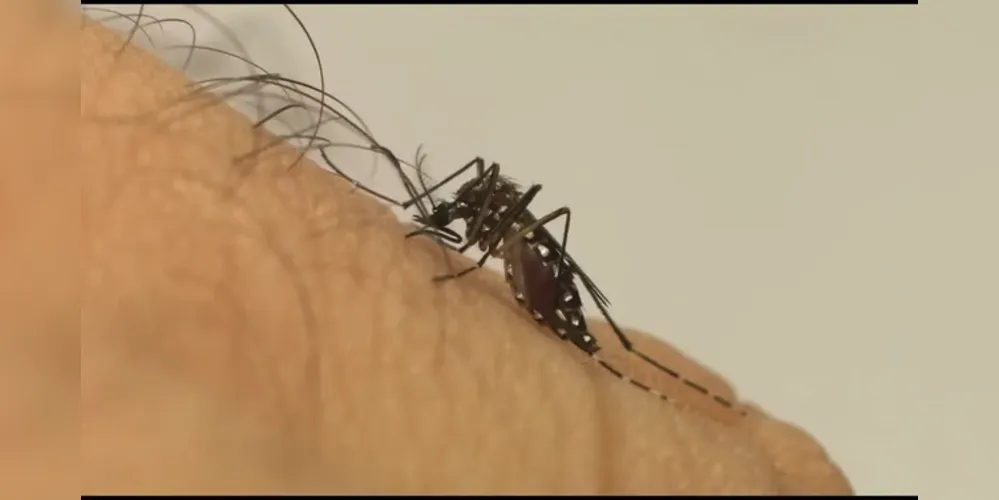 Setor de Endemias faz alerta para prevenção ao mosquito