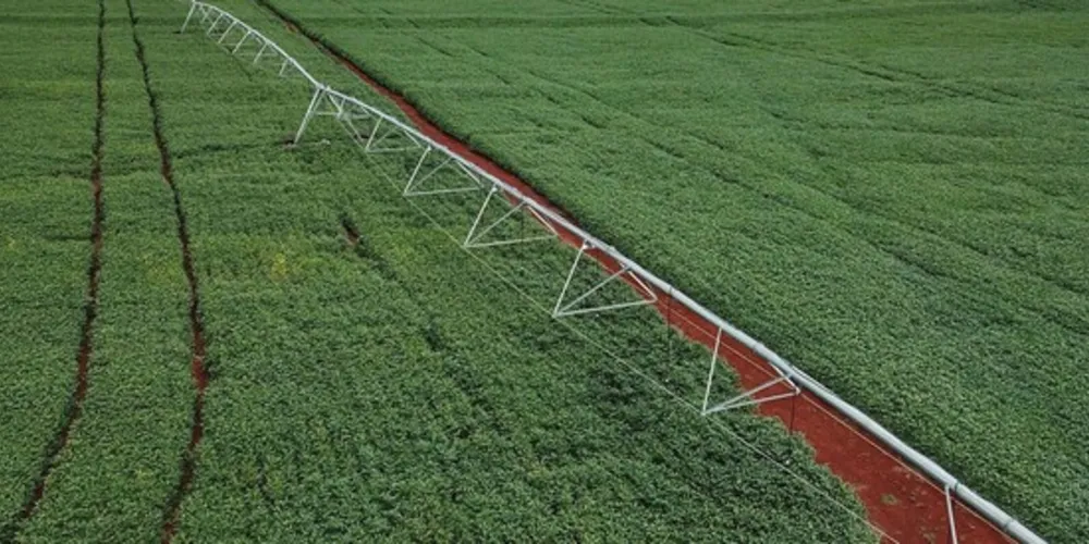 Entre os destaques, estiveram a mobilização contra a taxação da agropecuária pelo governo do Estado para a recuperação de estradas