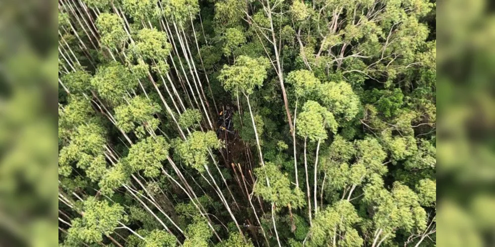 Helicóptero caiu em meio a grande árvores