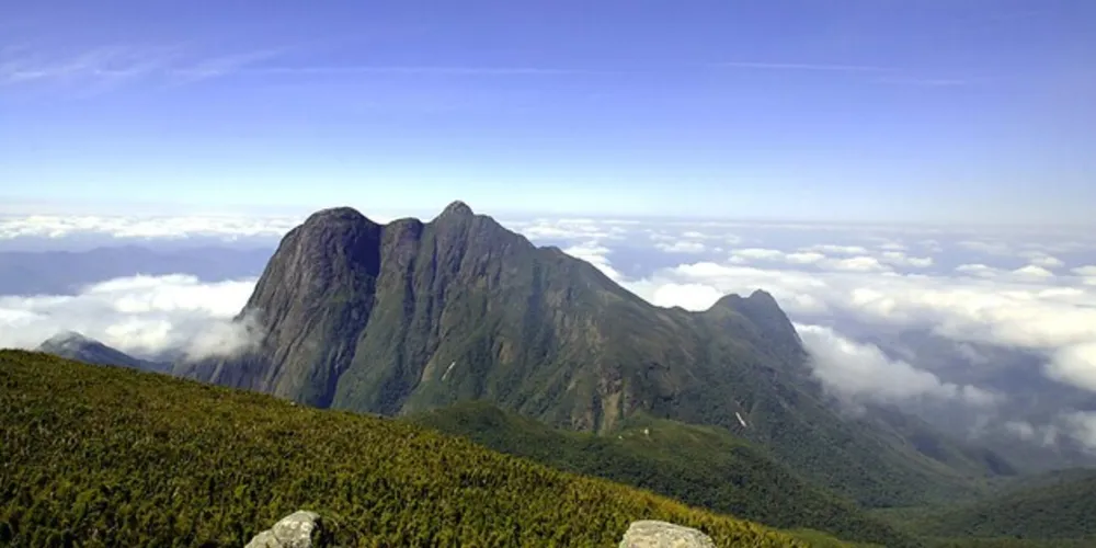 A medida é preventiva para evitar acidentes