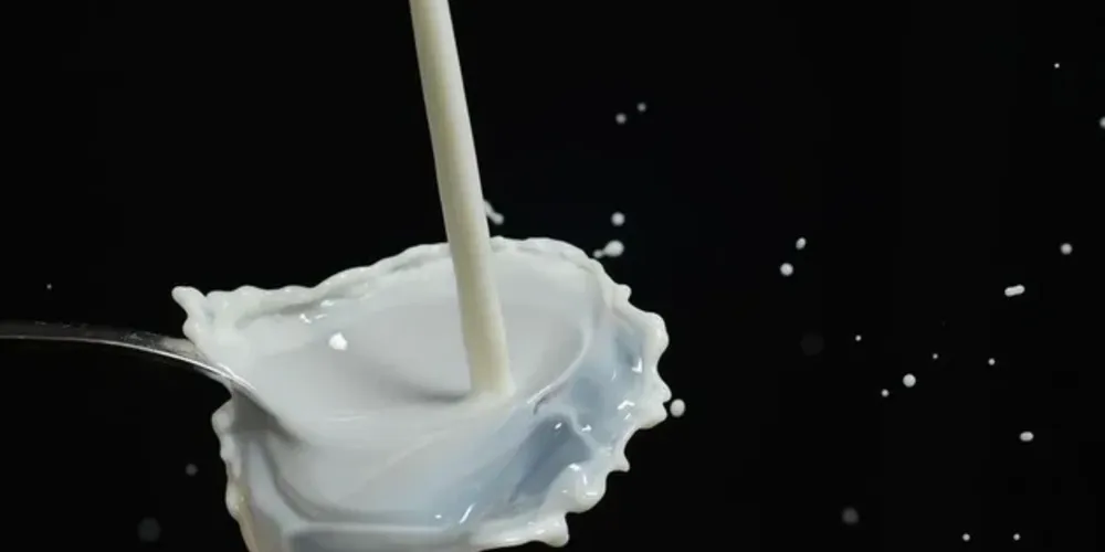 Caso aconteceu na última segunda-feira (12)