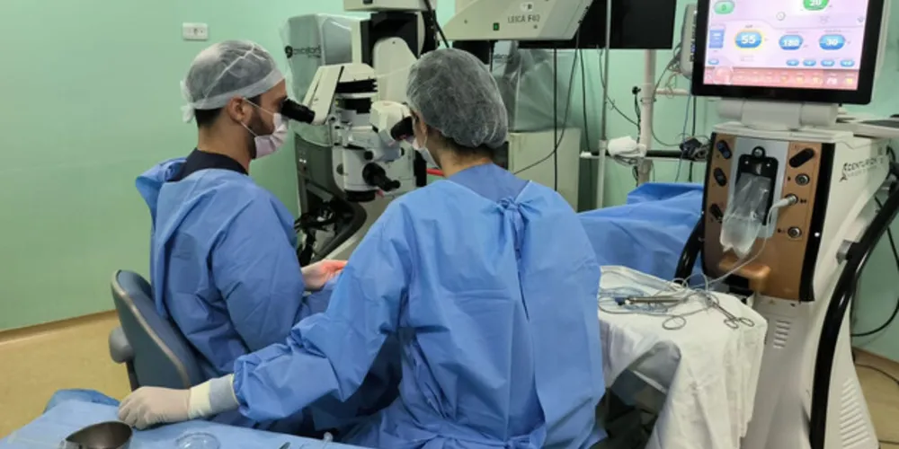 Número é 17% maior do que a média de 2022