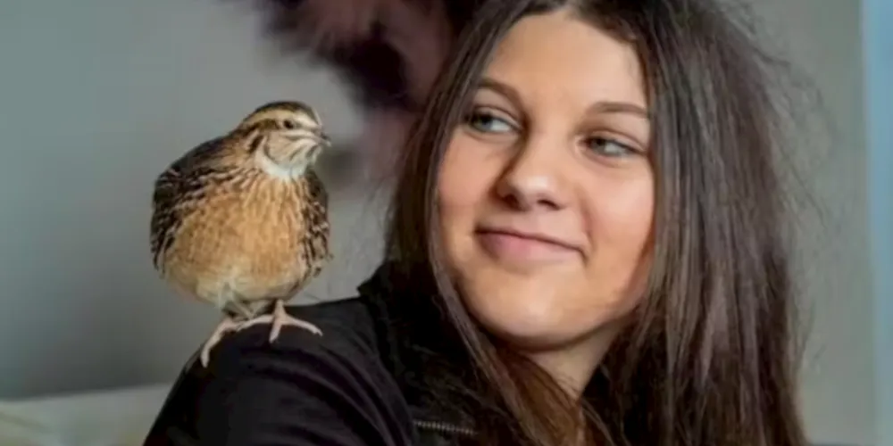 Caso aconteceu na Inglaterra.