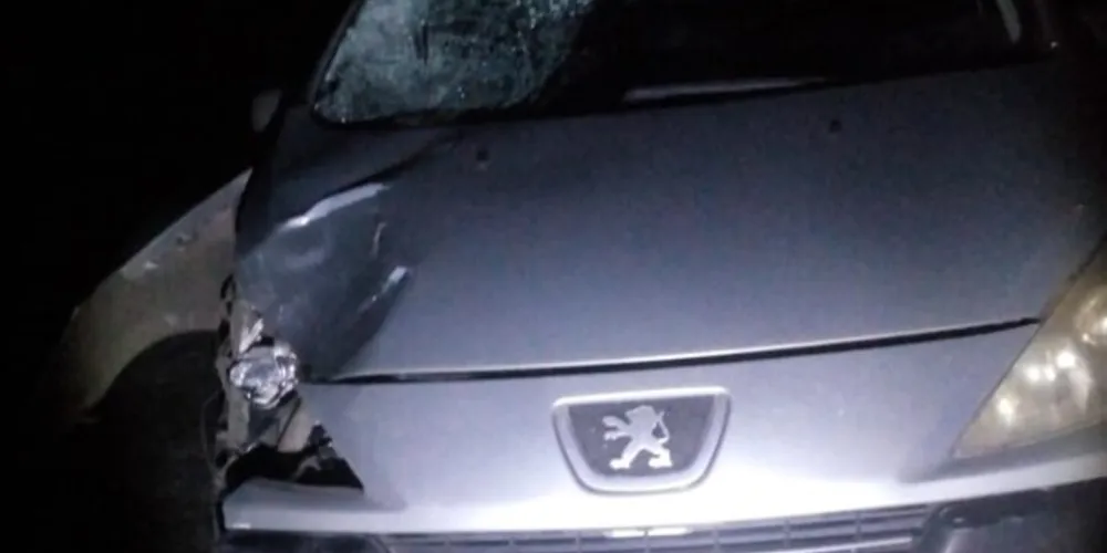 Atropelamento aconteceu por volta das 21h30 desta segunda-feira (25)