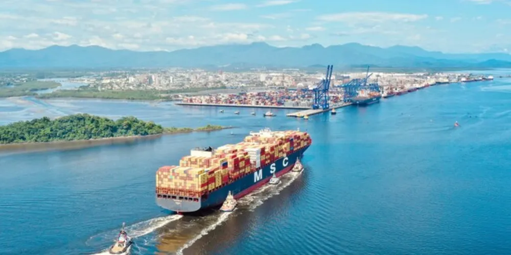 Vindo dos Estados Unidos, a escala do MSC Natasha XIII na TCP movimentará um grande volume de carne