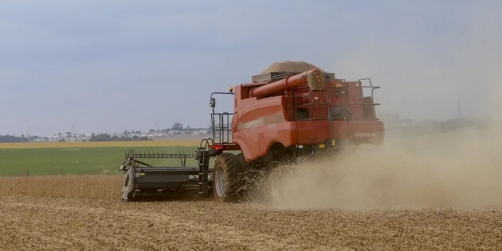 A soja é a principal cultura de verão no País