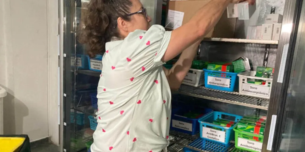 Estado distribui vacinas da dengue às Regionais de Saúde e promove instrução de aplicação - 9ª RS de Foz do Iguaçu