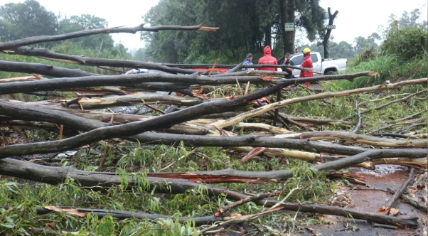 O falecimento de Antônio Celso foi causado pela queda de uma árvore durante um temporal, que ocorreu em 23 de dezembro de 2023