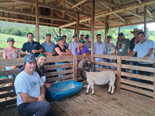 Imbaú estuda lei municipal para incentivo à caprinocultura