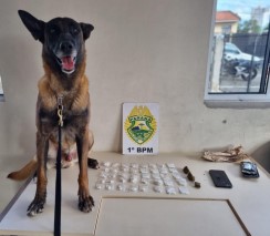 Os policiais convocaram o cão de detecção, 'Bolt'