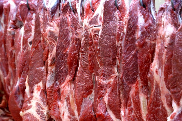 Em 2023 o Brasil exportou mais de US$ 10,5 bilhões em carne bovina, correspondendo a 2,28 milhões de toneladas
