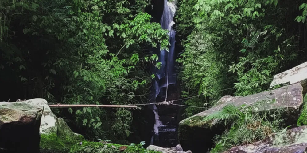 São 327 Reservas no Paraná, com 55.487,31 hectares de vegetação nativa preservada