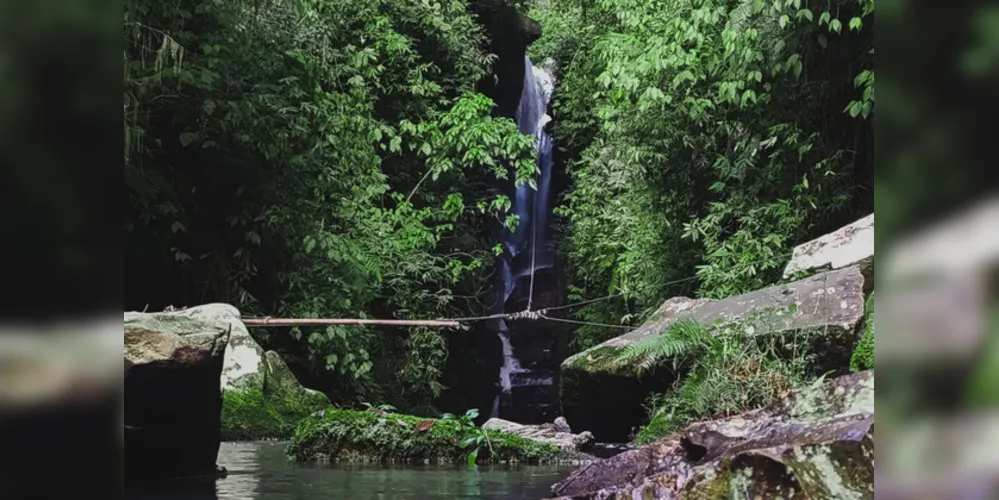 São 327 Reservas no Paraná, com 55.487,31 hectares de vegetação nativa preservada